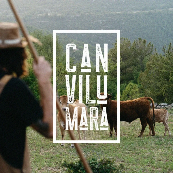 Projecte:Can Vilumara